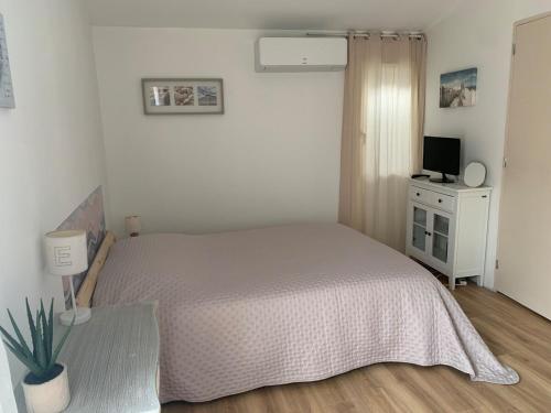 une chambre avec un lit et un bureau avec une télévision dans l'établissement Studio indépendant climatisé, à Saint-Drézéry