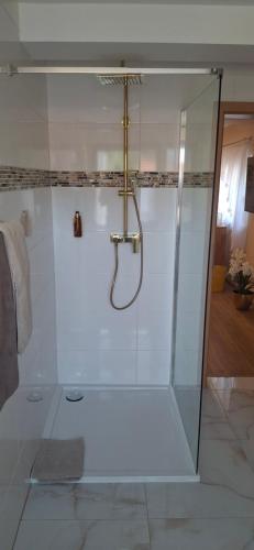 a shower with a glass door in a bathroom at Alt Wehlheiden in Kassel