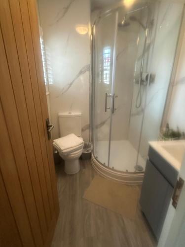 a bathroom with a shower and a toilet and a sink at Morgraig in Cardiff