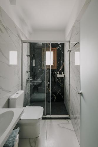 a bathroom with a toilet and a glass shower at Villa Apollo in Parga