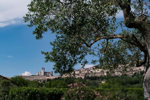 Tenuta San Masseo - boutique farm resort & SPA