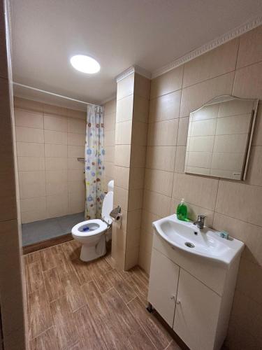 a bathroom with a sink and a toilet at Moșia lu' Mișu in Ocna Sibiului