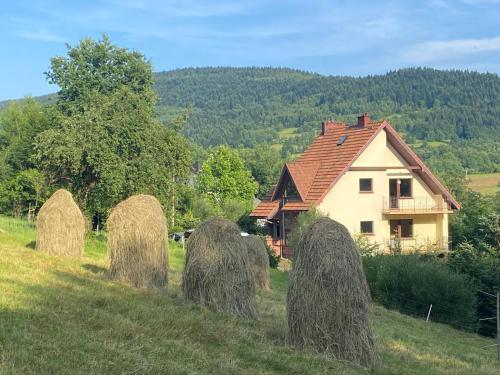 W górach nad strumieniem