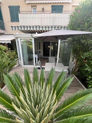 une terrasse avec un parasol et une plante dans l'établissement Mistral Gagnant, à Fréjus