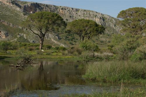 a river with trees and a mountain in the background at Verde Al Mare Boutique Hotel in Kalogria