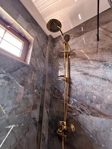 a shower in a bathroom with a glass door at Hotel Leoni in Kʼveda Sakʼara