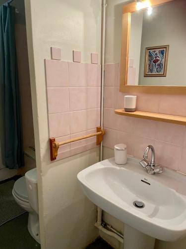 une salle de bain avec un lavabo et des toilettes dans l'établissement Maison d'hôtes La Giraudasse, à Soulatgé