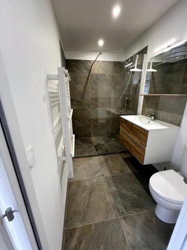a bathroom with a toilet and a sink at Joli appartement au centre de Nieppe in Nieppe