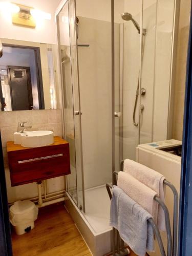 une salle de bain avec une douche et un lavabo et une douche dans l'établissement Sur le T M B centre village studio lumineux, aux Contamines-Montjoie