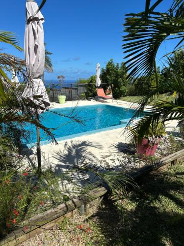 Piscina a La case curcuma o a prop
