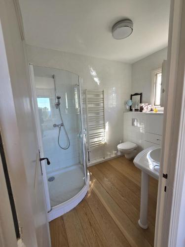 une salle de bain avec douche et toilettes dans l'établissement La Caravelle grande villa vue mer piscine 5x11, aux Issambres
