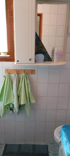 Fotografie z fotogalerie ubytování Apartman Kuršumlijska Banja v destinaci Kursumlijska Banja