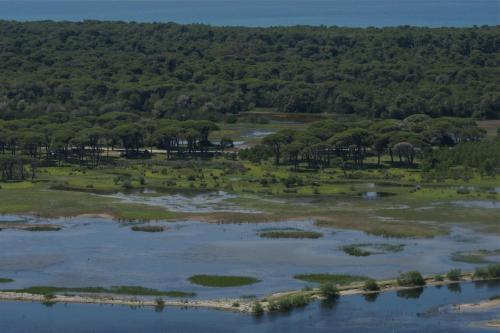 an aerial view of a lake with trees at Verde Al Mare Boutique Hotel in Kalogria
