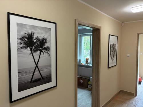 a hallway with a picture of a palm tree on the wall at Chata Smarzewo 