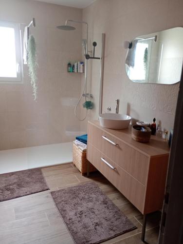 une salle de bain avec un lavabo, un miroir et une douche dans l'établissement La conviviale, à Saintes