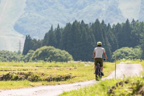 ホステルの近くで見られる自然の景観