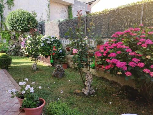 a garden with pink flowers and potted plants at Da Rita in Villanova Monteleone