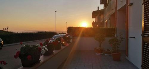 a street with potted plants on a balcony with the sunset at Da Rita in Villanova Monteleone