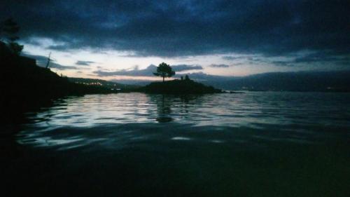 a tree on an island in a body of water at Casa Begoña/la casa del timón in Muros
