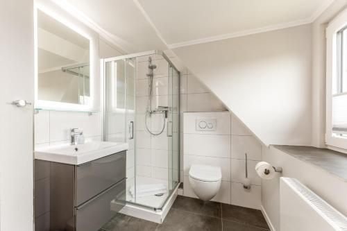 a bathroom with a shower and a toilet and a sink at Haus Treibholz in Westerland