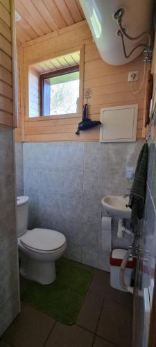 a small bathroom with a toilet and a sink at Kalnāres 