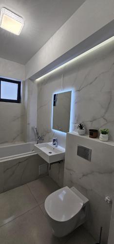 a bathroom with a sink and a toilet and a tub at Vera Home 3 in Râmnicu Vâlcea