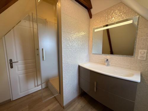 a bathroom with a sink and a mirror and a shower at Étage complet à la campagne in Chanzeaux