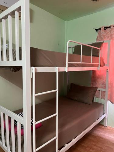 Palanda nebo palandy na pokoji v ubytování Boy Scouts Homestay
