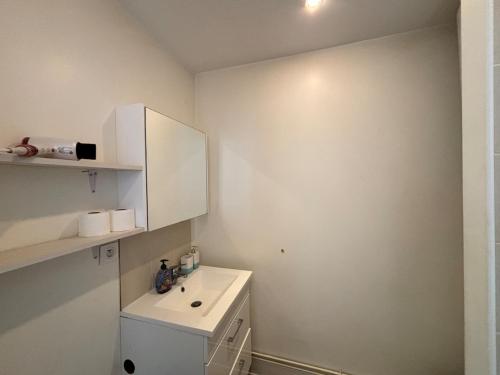 une salle de bain avec un lavabo et un meuble blanc dans l'établissement City Break T2, à Clermont-Ferrand
