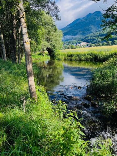 a river with trees and grass next to a field at Haus am See in Mühldorf
