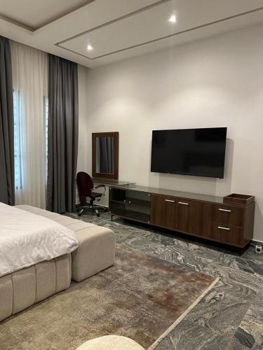 TV a/nebo společenská místnost v ubytování Aryna Apartment