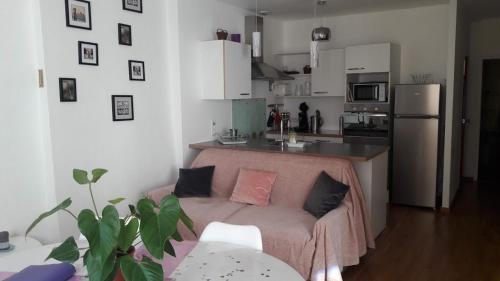 un salon avec un canapé et une cuisine dans l'établissement Appart Cosy Centre Ville Annecy, à Annecy