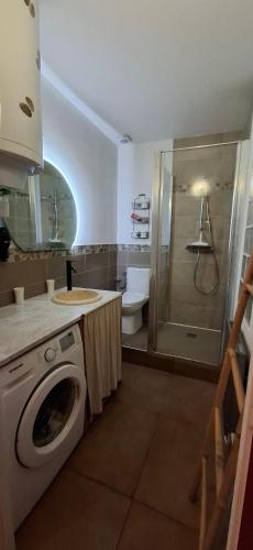 La salle de bains est pourvue d'un lave-linge et d'une douche. dans l'établissement Appart Cosy Centre Ville Annecy, à Annecy