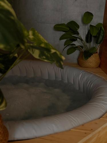 a bath tub filled with water next to two potted plants at Apartman Thermea in Krapinske Toplice