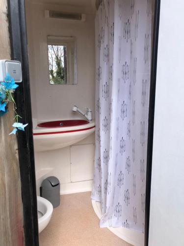 a bathroom with a shower curtain and a sink at Roulotte au bord du canal du midi argeliers in Argeliers