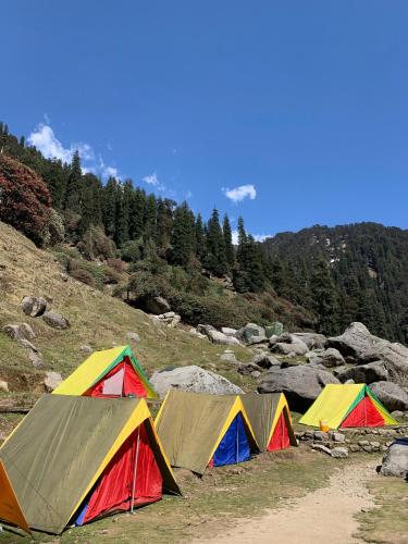 a group of tents on a hill with trees at Kareri Nomads Adventure Camp in Minkiānī