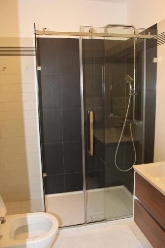 a bathroom with a shower with a toilet and a sink at Apartment Aleksandar in Mošćenička Draga
