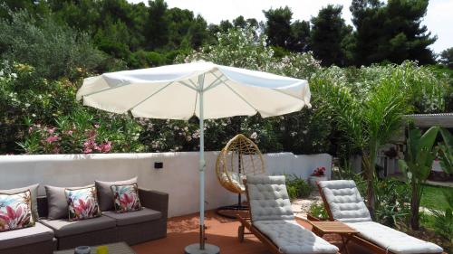 Κήπος έξω από το Villa Nova s.r Sea View