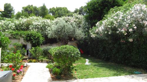 Κήπος έξω από το Villa Nova s.r Sea View