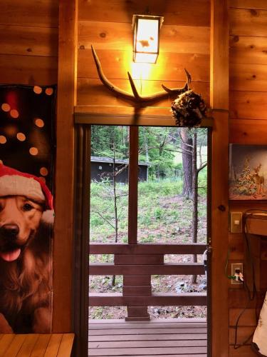 a door to a cabin with a view of a forest at ドッグランドサムデイ in Minamitsuru