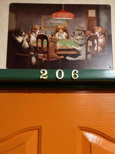 a picture of dogs sitting around a table at ドッグランドサムデイ in Minamitsuru