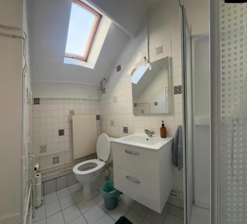 Un baño con inodoro, lavabo y espejo. en Cozy appartement 2 chambres au coeur de Palaiseau 8min RER B à pieds, en Palaiseau