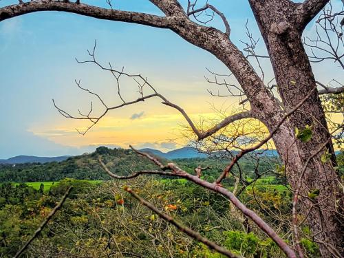 a tree in the foreground with a mountain in the background at Mahi's Place in Minneriya