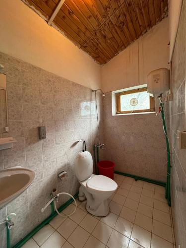 a bathroom with a toilet and a sink at The Walnut Tree Lodge, Naltar in Jugut
