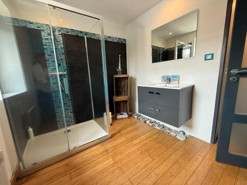 une salle de bain avec une douche en verre et un lavabo dans l'établissement L'Hedera - proche Zenith & Calme, à Pérignat-lès-Sarliève