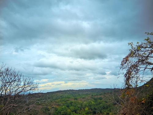 a view of auliculiculiculiculiculiculiculiculiculiculiculic at Mahi's Place in Minneriya