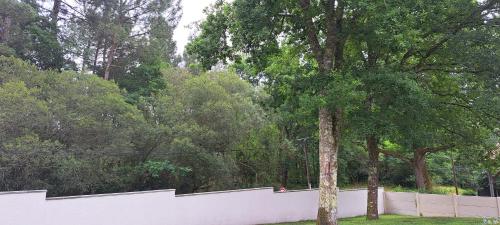 a white fence with a tree next to a white wall at Maison d’hôte neuve : T2 pour 4 voyageurs in Mios