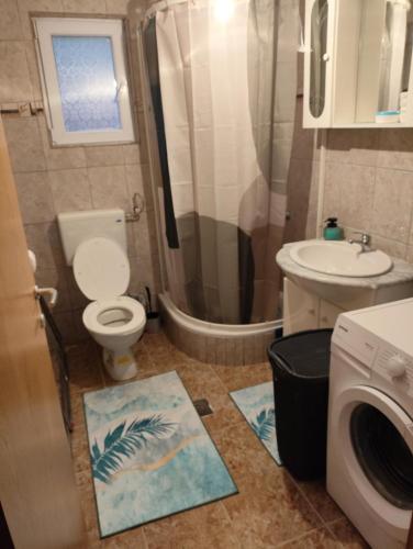 a bathroom with a toilet and a sink and a washing machine at Oaza mira Šipovo in Šipovo