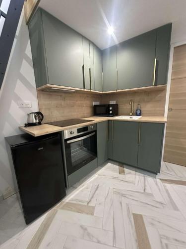 une cuisine avec des armoires vertes et un évier dans l'établissement Studio indépendant proche de Paris, à Vitry-sur-Seine
