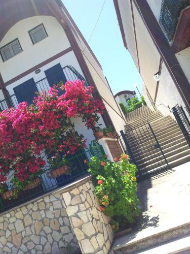 Villa Montoro – Photos 2